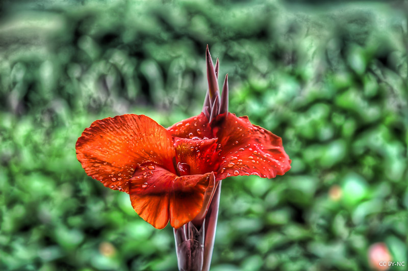 Photographer - Trey Ratcliff
